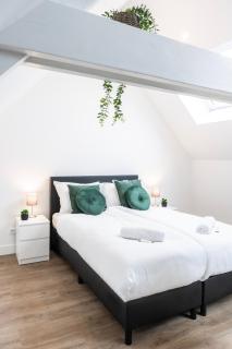 Newly renovated with fast WiFi, near Poppodium013 - 7