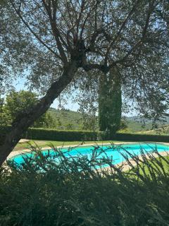 Bellini - duplex met 2 slaapkamers - Gaiole in Chianti - 0
