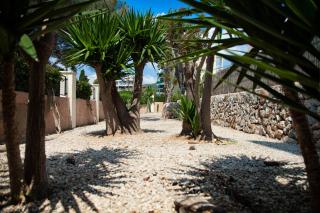 Naika Studios & Apartments - Palmanova - 6