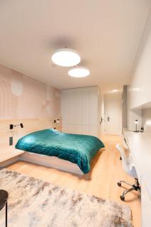 Henry's Appt with a private Suite 411 - Shared kitchen - Lussemburgo - 1