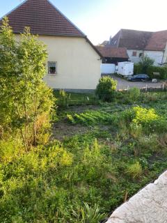 T2 - 48m2 - La Ferme à Dédé - Frasne - 1