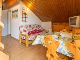 Duplex fonctionnel sur les pistes · Balcon sud-ouest · Proche commerces · 5 pers - FR-1-181-2501 - Aime-la-Plagne - 9