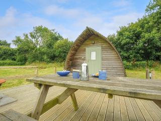 Hen House Penbugle Organic Farm - Liskeard - 2