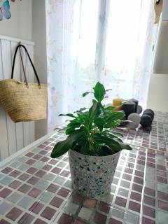 La Casita de Ivanna - 8