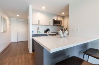 Luxury Apt Near Charles River - 5