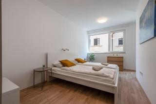 Big condo with garage & balcony & AC & lift - Budapest - 1