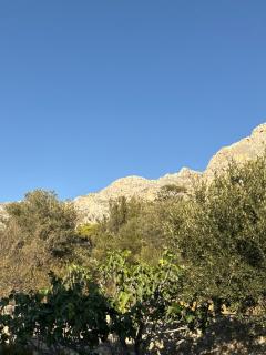 Kaloniki Rooms & Suites - Masouri - 1