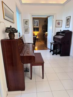 Beautiful Vintage Flat - back yard garden access - Atene - 8