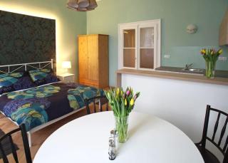 Green Park View apartment - Prague - 8