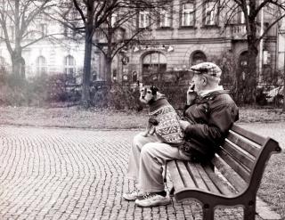 Green Park View apartment - Prague - 1