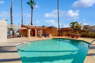 Fun in the Fountain Hills Sun - Fountain Hills - 8