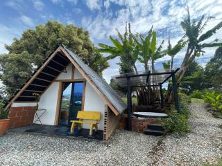 Encanto Verde - 2