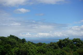 Hotel Planeta Sano - Manuel Antonio - 6