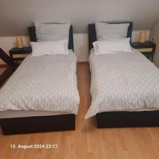 Comfortable Apartment - Beinheim - 0