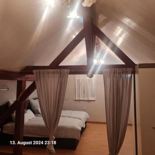 Comfortable Apartment - Beinheim - 4