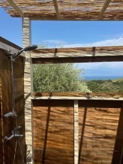 Mazi Wellness Center & Eco Farm - - 8