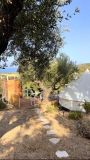 Mazi Wellness Center & Eco Farm - 6