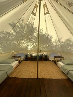 Mazi Wellness Center & Eco Farm - - 2