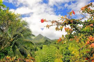 NEW ! Studio avec piscine et plages accessibles à pieds - 2