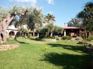 Affittacamere Villa Brazzano - Scalea - 0