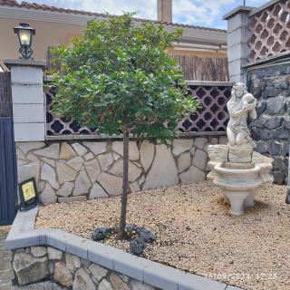 La Biznaga - Fogás de Tordera - 4