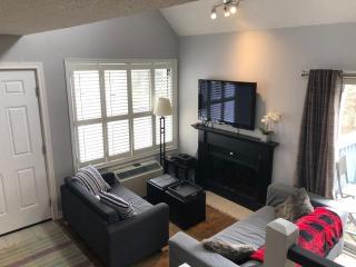 Blue Mountain Escape, WIFI, Base of North lift - 7