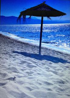 Private Seaside Apartment in Grand Europa Complex Velipoja - Velipojë - 8