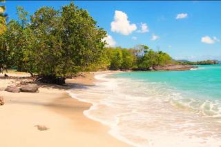 NEW ! 3 pièces avec piscine et plage accessibles à pieds - Sainte-Luce - 8