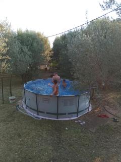 Apartments Green Olives - 3