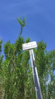 L'Appart - Cheval-Blanc - 7