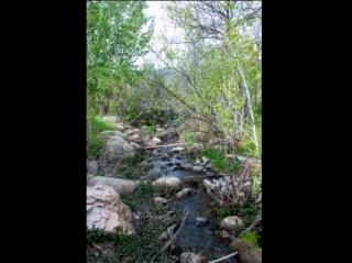 Creekside Comfort with Resort Amenities - Eden - 1