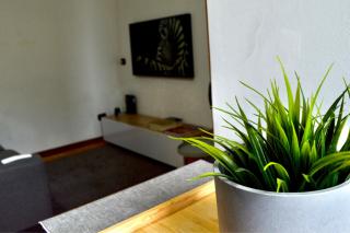 Cozy Fiore Mono - Rho Fiera, San Siro, CityLife - Milan - 4
