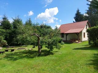 Domek nad jeziorem, łódka, kajak - 3