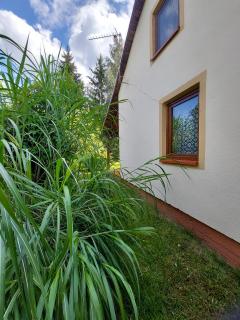 Domek nad jeziorem, łódka, kajak - 7