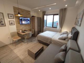 Pavic SPA Milmari L34 - Kopaonik - 4