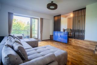 With a view Residence 2 - Two Bedroom Deluxe Apartament with Terrace and City View - Braşov - 3