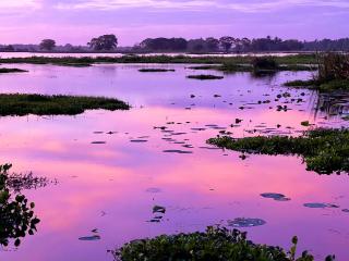 Lake Face Cabana - 9