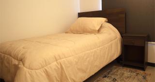 Hermoso Depto Nuevo 3D 2B y Litera Vista al Lago con Piscina Temperada , Jacuzzi - Puerto Varas - 1