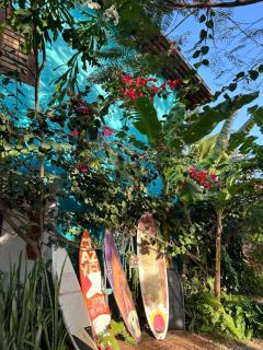 Pousada Tangerina - 5