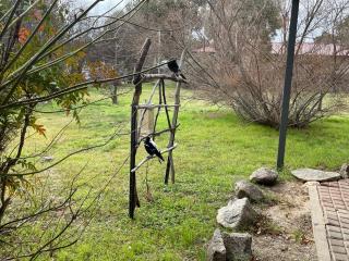Florence Lodge - Berridale - 2