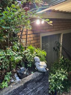 The singing frogs studio - Coffs Harbour - 7