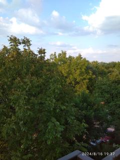 apartament non - Lugoj - 5