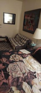 CATmosphere - Las Vegas - 4