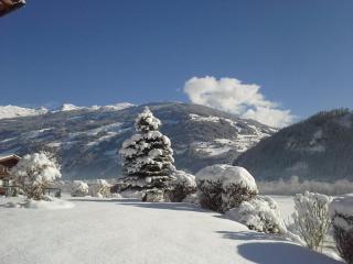 Huaterhof - Zell am Ziller - 5