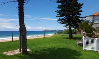 Homely Beachfront Apartment with Direct Beach Access - The Coachhouse - Narrabeen - 1
