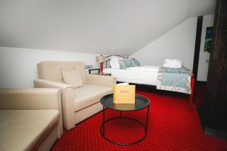 Zámek Wichterle - Hotel a pivní lázně - Slavičín - 7