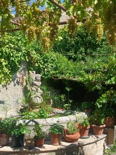Palazzo Caracciolo - Gerace - 4