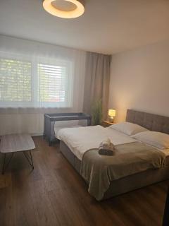 Apartmán 365 VAJANA & Jacuzzi, wallbox, free parking - 6