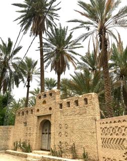 Dar Tozria - Tozeur - 9