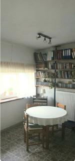 Danube-Cycle-Lounge-Rasova - Rasova - 2